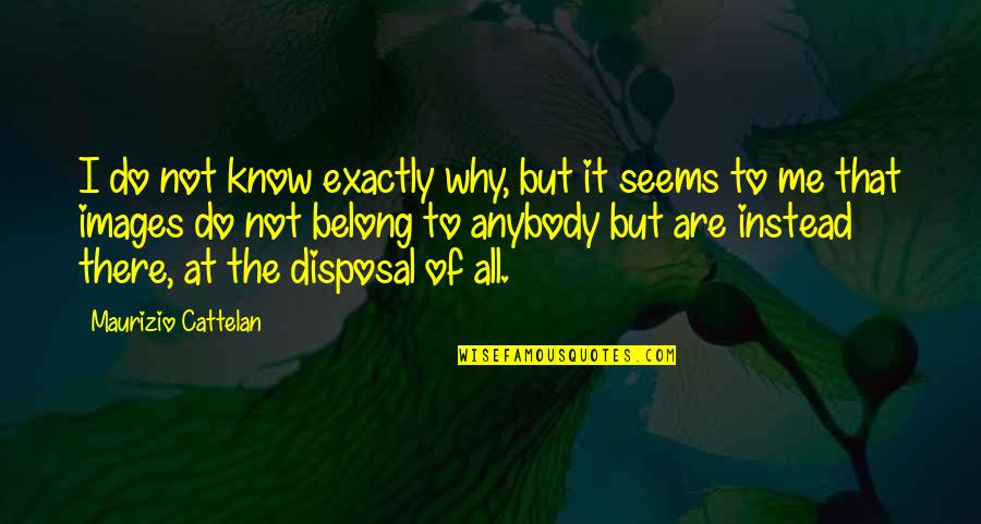 Why Do You Do This To Me Quotes By Maurizio Cattelan: I do not know exactly why, but it