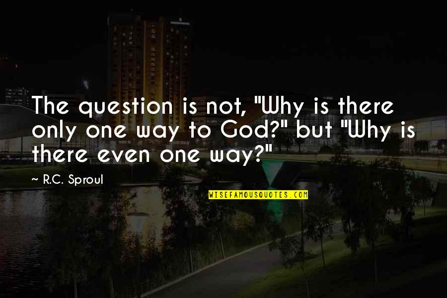 Why I Am The Way I Am Quotes By R.C. Sproul: The question is not, "Why is there only Why I Am The Way I Am Quotes By R.C. Sproul: The question is not, "Why is there only