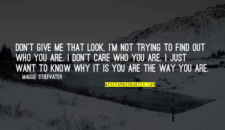 Why I Care Quotes By Maggie Stiefvater: Don't give me that look. I'm not trying Why I Care Quotes By Maggie Stiefvater: Don't give me that look. I'm not trying