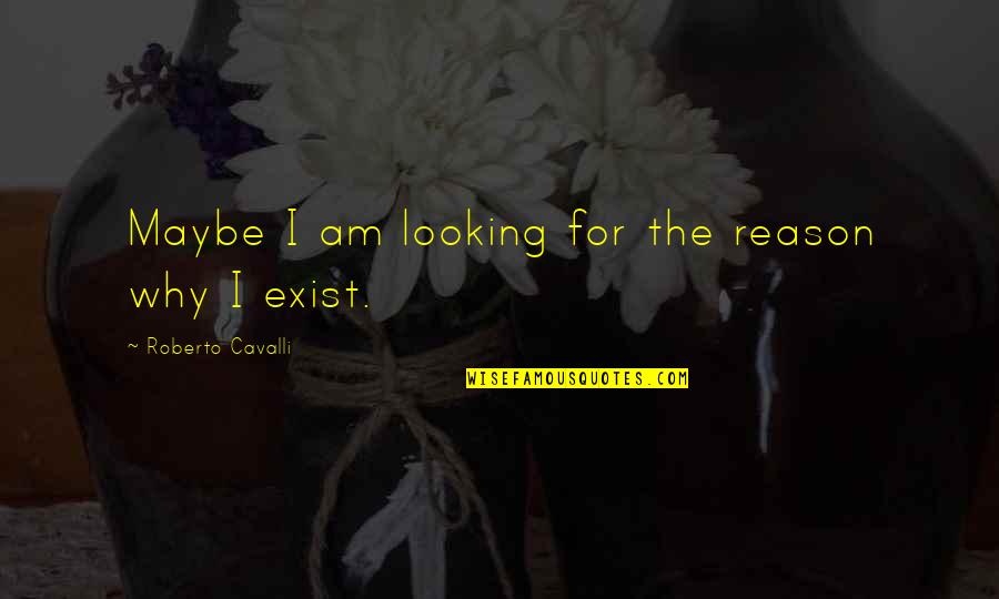 Why I Exist Quotes By Roberto Cavalli: Maybe I am looking for the reason why Why I Exist Quotes By Roberto Cavalli: Maybe I am looking for the reason why