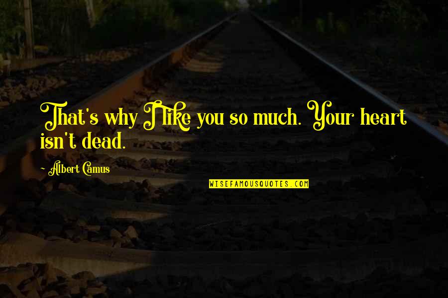 Why I Like You Quotes By Albert Camus: That's why I like you so much. Your