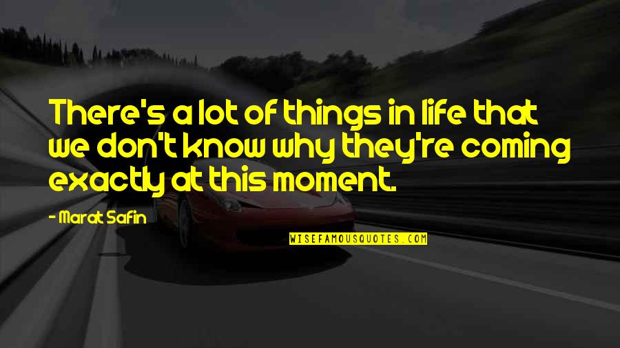Why In Life Quotes By Marat Safin: There's a lot of things in life that