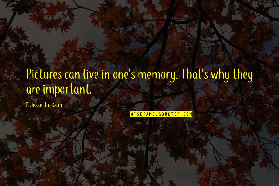 Why Pictures Are Important Quotes By Jesse Jackson: Pictures can live in one's memory. That's why