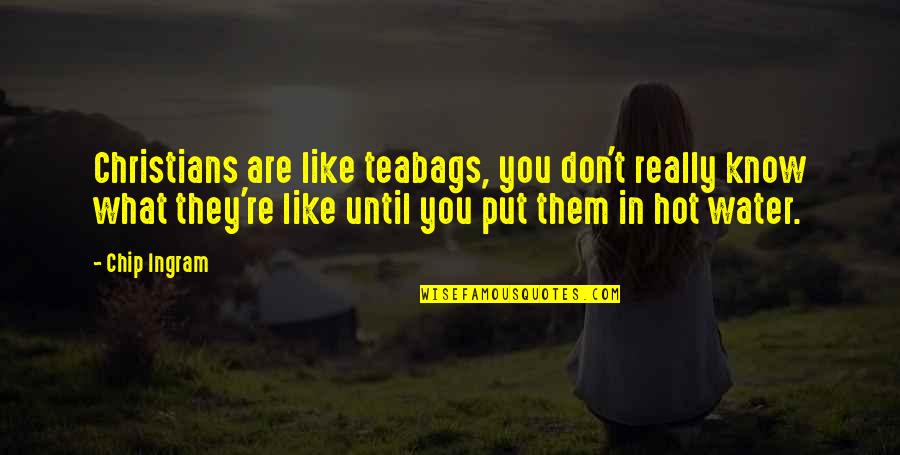 Why Relationships Don't Work Quotes By Chip Ingram: Christians are like teabags, you don't really know