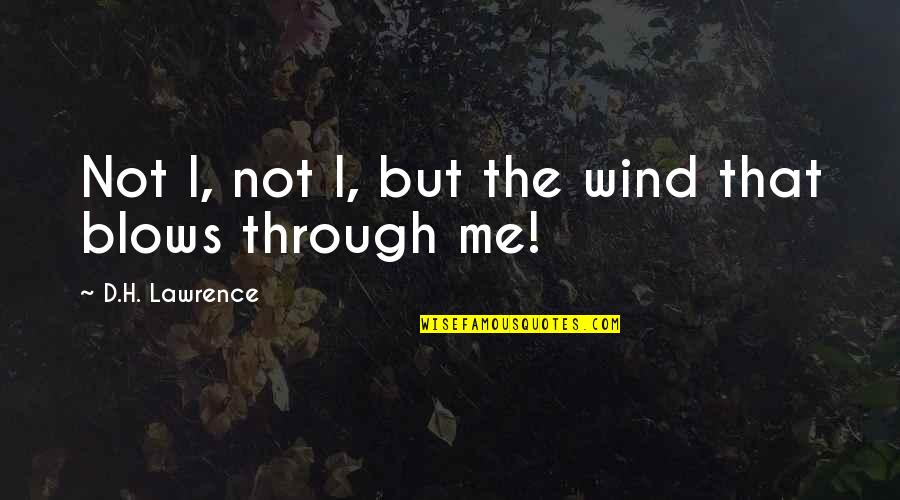 Why Should I Trust You Quotes By D.H. Lawrence: Not I, not I, but the wind that