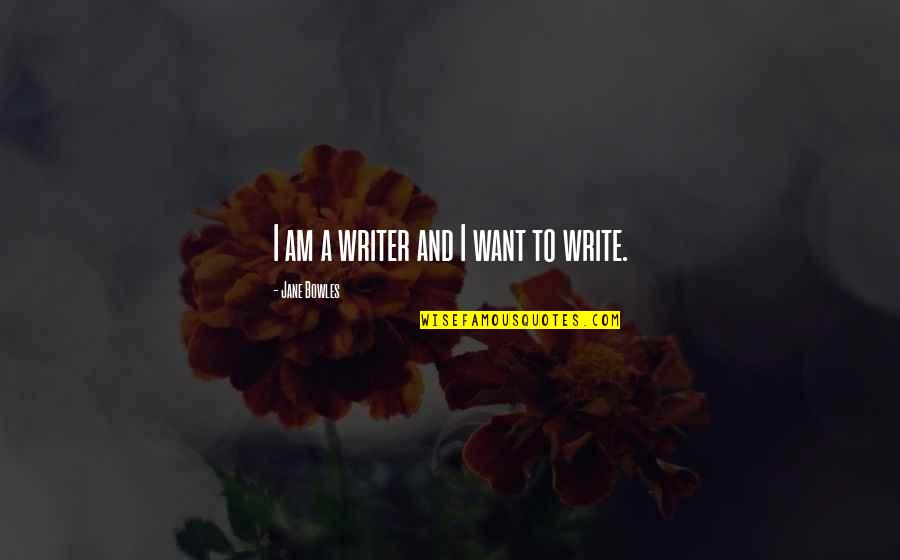 Why Should We Vote Quotes By Jane Bowles: I am a writer and I want to