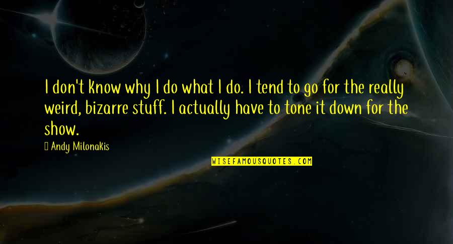 Why Show Off Quotes By Andy Milonakis: I don't know why I do what I