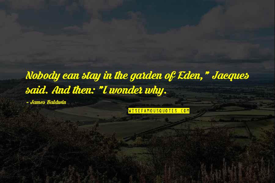 Why Stay Quotes By James Baldwin: Nobody can stay in the garden of Eden,"