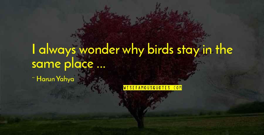 Why Travel Quotes By Harun Yahya: I always wonder why birds stay in the