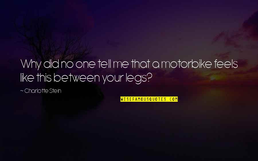 Why U Did This To Me Quotes By Charlotte Stein: Why did no one tell me that a