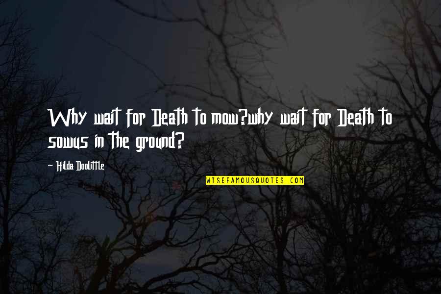 Why Wait Quotes By Hilda Doolittle: Why wait for Death to mow?why wait for