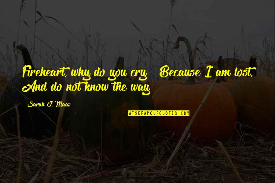 Why We Are The Way We Are Quotes By Sarah J. Maas: Fireheart, why do you cry?""Because I am lost.