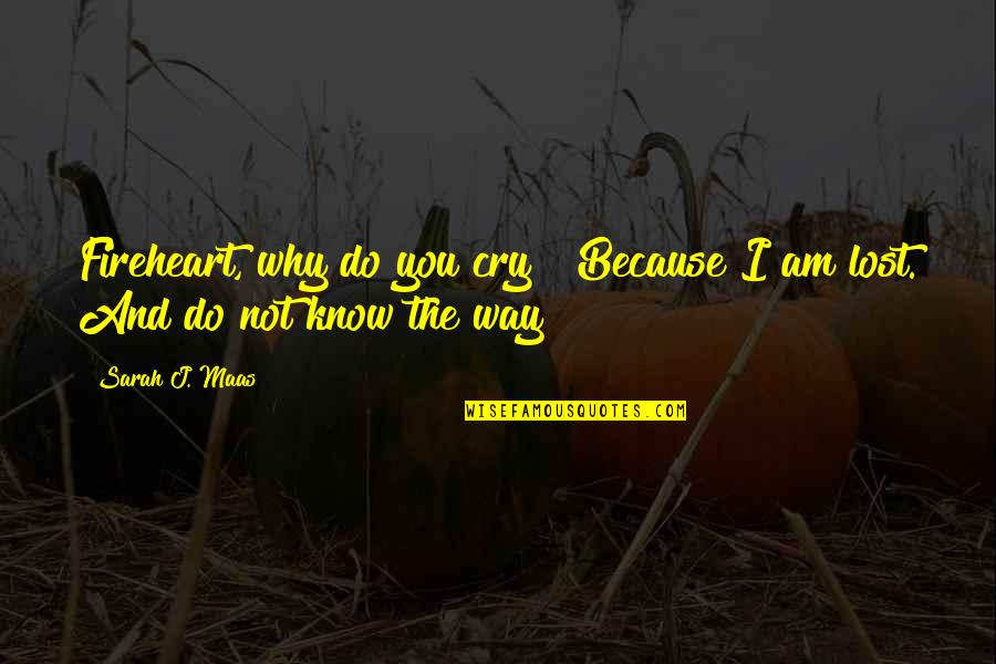 Why We Cry Quotes By Sarah J. Maas: Fireheart, why do you cry?""Because I am lost.