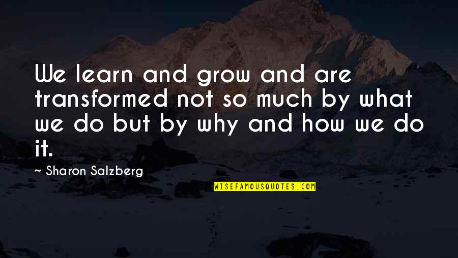 Why We Do It Quotes By Sharon Salzberg: We learn and grow and are transformed not
