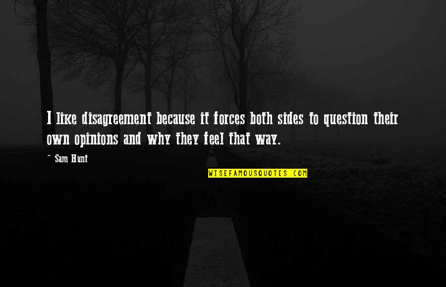 Why We Hunt Quotes By Sam Hunt: I like disagreement because it forces both sides