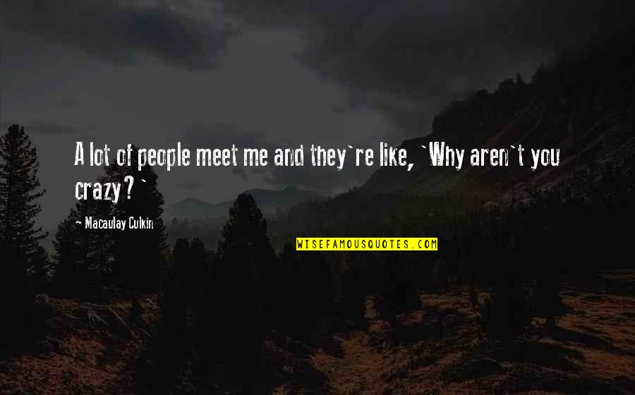 Why We Meet Quotes By Macaulay Culkin: A lot of people meet me and they're