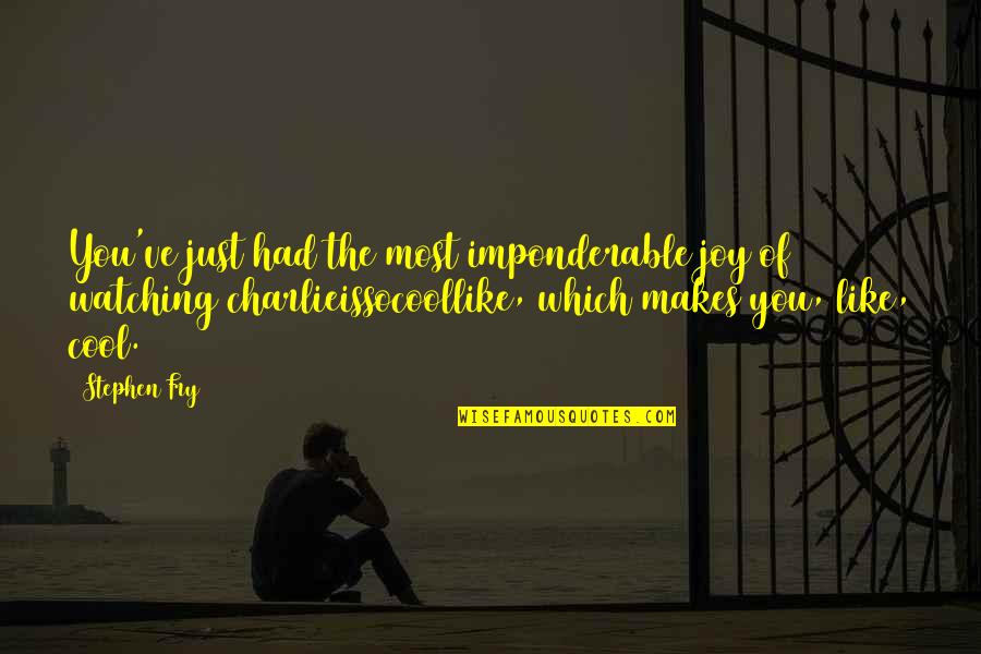 Why We Ride Motorcycles Quotes By Stephen Fry: You've just had the most imponderable joy of