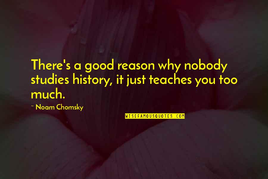 Why We Study History Quotes By Noam Chomsky: There's a good reason why nobody studies history,