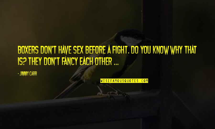 Why Why Why Why Quotes By Jimmy Carr: Boxers don't have sex before a fight. Do Why Why Why Why Quotes By Jimmy Carr: Boxers don't have sex before a fight. Do