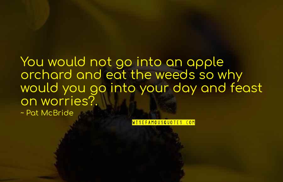 Why Worry Quotes By Pat McBride: You would not go into an apple orchard