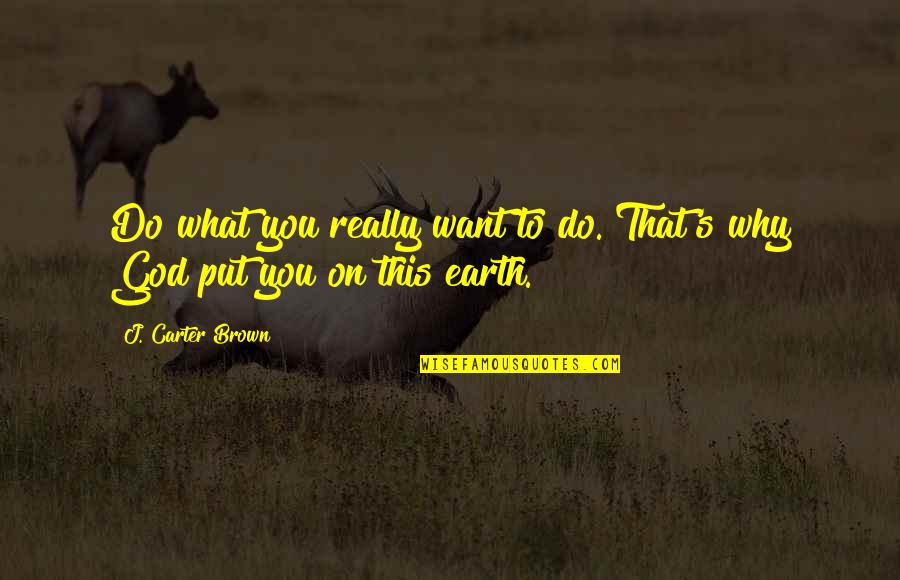 Why You Do This Quotes By J. Carter Brown: Do what you really want to do. That's