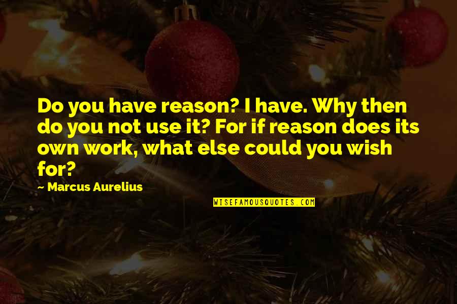 Why You Do What You Do Quotes By Marcus Aurelius: Do you have reason? I have. Why then