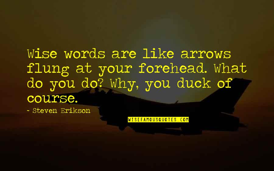 Why You Do What You Do Quotes By Steven Erikson: Wise words are like arrows flung at your