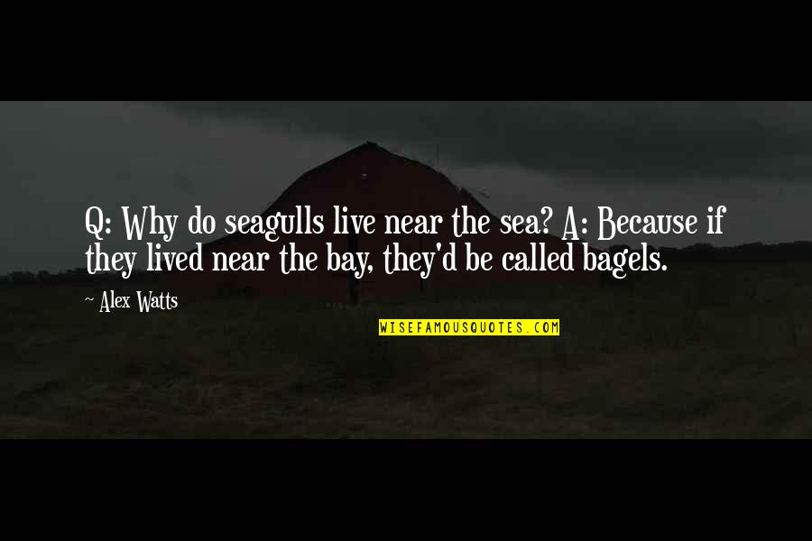 Why'd Quotes By Alex Watts: Q: Why do seagulls live near the sea?