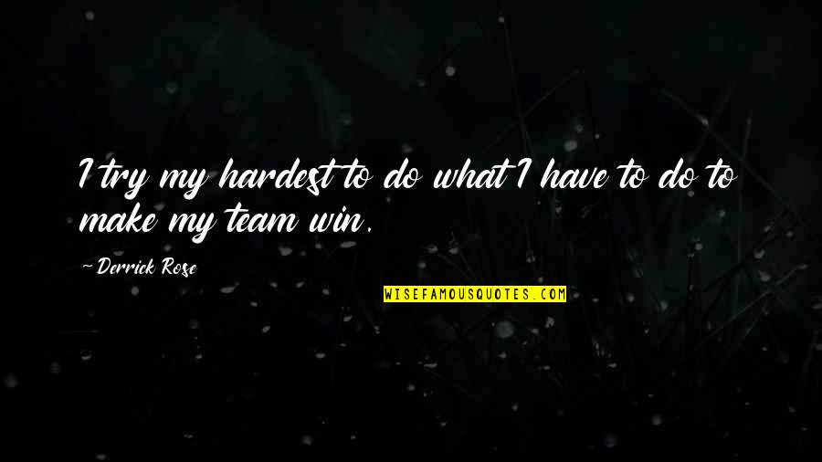 Whyfore Quotes By Derrick Rose: I try my hardest to do what I