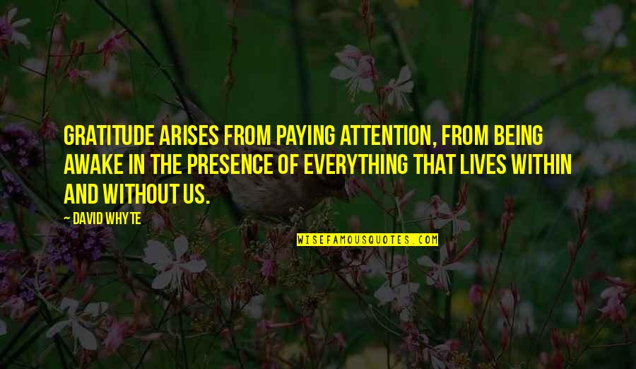 Whyte's Quotes By David Whyte: Gratitude arises from paying attention, from being awake