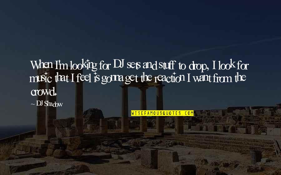 Wibmers Law Quotes By DJ Shadow: When I'm looking for DJ sets and stuff Wibmers Law Quotes By DJ Shadow: When I'm looking for DJ sets and stuff