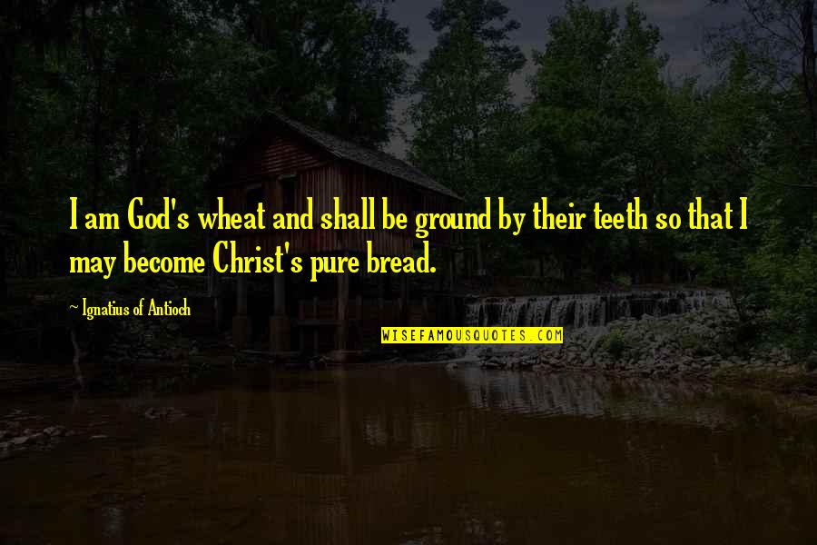 Wiccan Moon Quotes By Ignatius Of Antioch: I am God's wheat and shall be ground Wiccan Moon Quotes By Ignatius Of Antioch: I am God's wheat and shall be ground