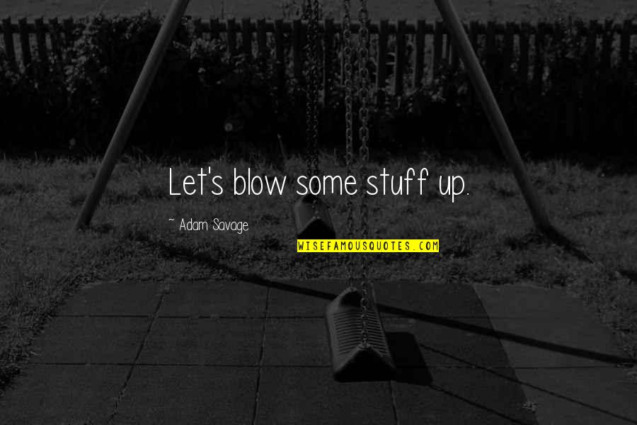Wicious Quotes By Adam Savage: Let's blow some stuff up.