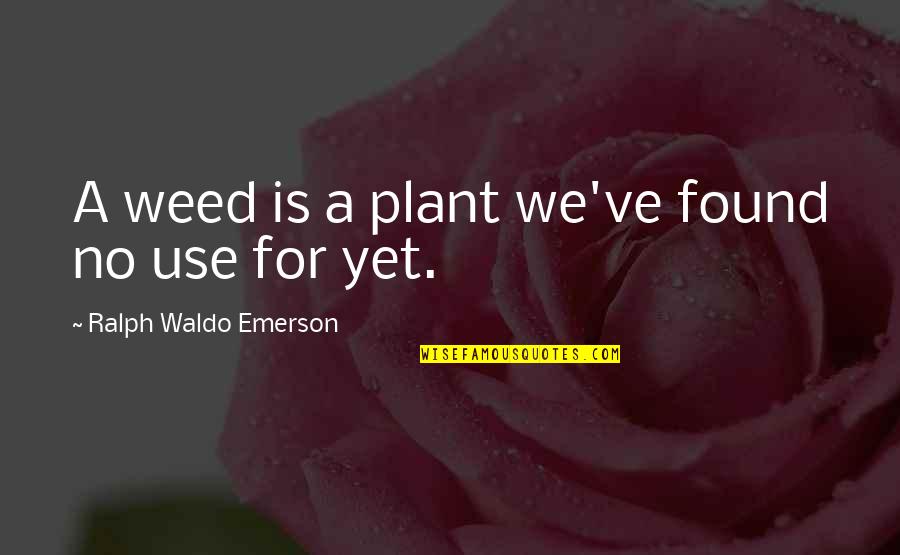Wicked Broadway Musical Quotes By Ralph Waldo Emerson: A weed is a plant we've found no