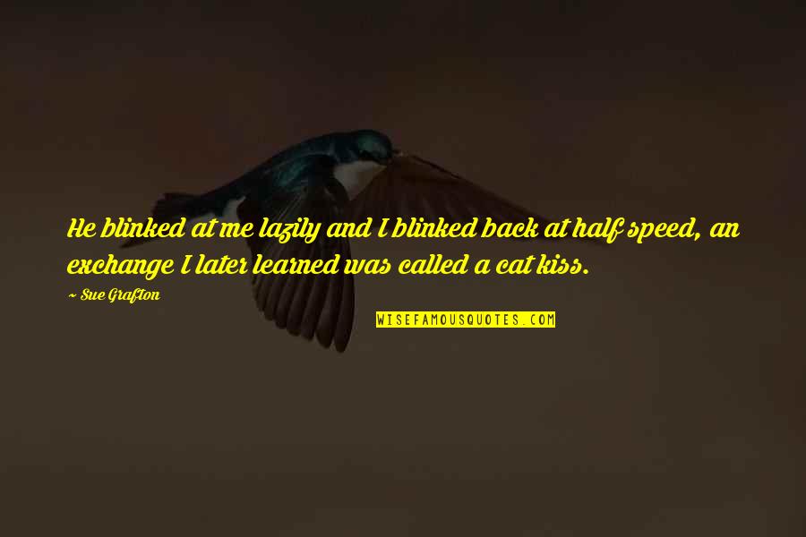 Wicked Memes Quotes By Sue Grafton: He blinked at me lazily and I blinked Wicked Memes Quotes By Sue Grafton: He blinked at me lazily and I blinked