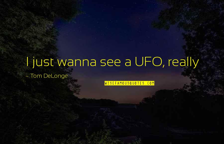 Wickedness And Cruelty Quotes By Tom DeLonge: I just wanna see a UFO, really