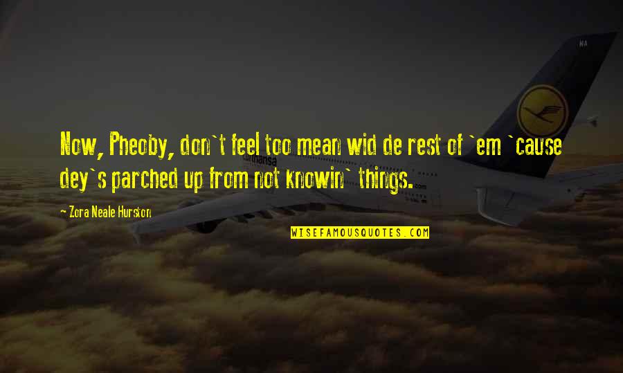 Wid U Quotes By Zora Neale Hurston: Now, Pheoby, don't feel too mean wid de