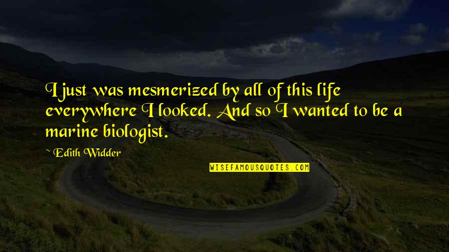 Widder Quotes By Edith Widder: I just was mesmerized by all of this