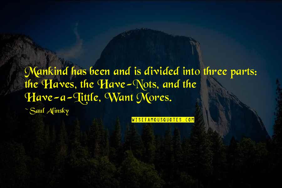 Wide Awake Book Quotes By Saul Alinsky: Mankind has been and is divided into three