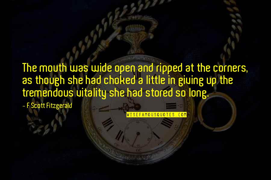 Wide Open Quotes By F Scott Fitzgerald: The mouth was wide open and ripped at