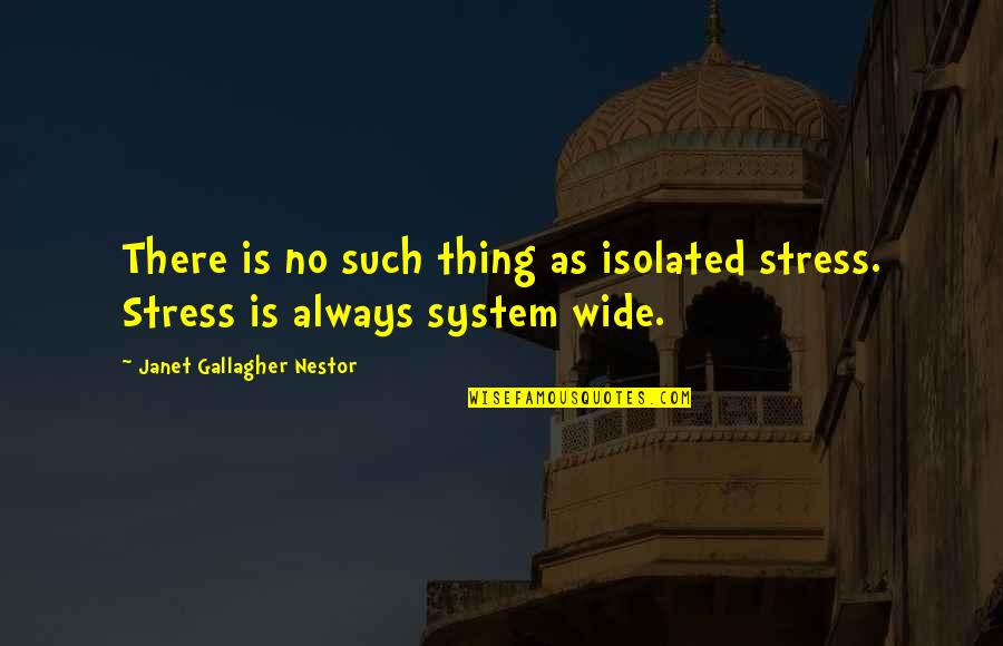 Wide Quotes By Janet Gallagher Nestor: There is no such thing as isolated stress.