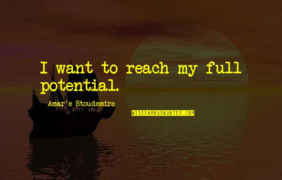 Widen Your Vision Quotes By Amar'e Stoudemire: I want to reach my full potential.