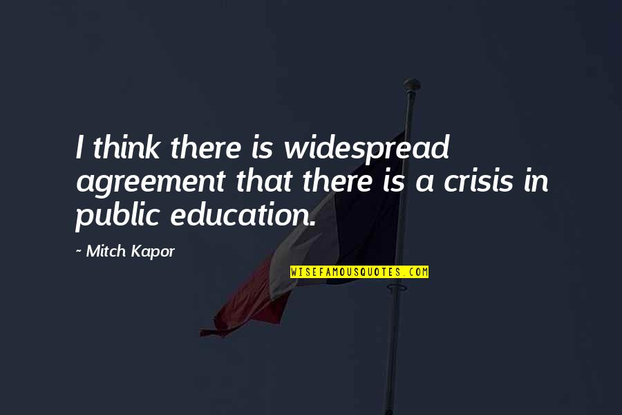 Widespread Quotes By Mitch Kapor: I think there is widespread agreement that there