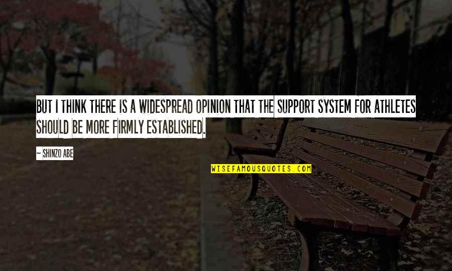 Widespread Quotes By Shinzo Abe: But I think there is a widespread opinion