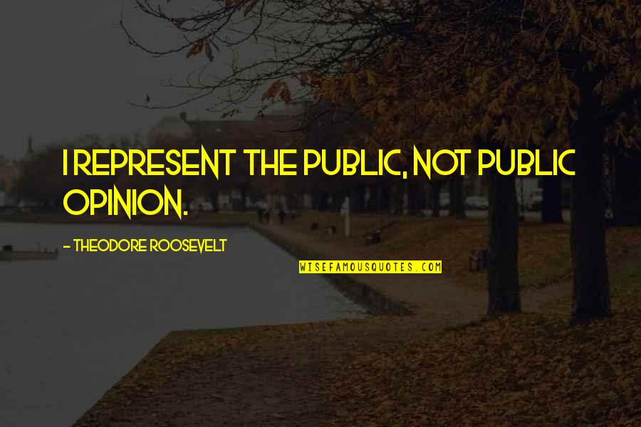 Widger North Quotes By Theodore Roosevelt: I represent the public, not public opinion.