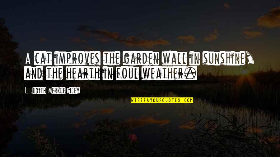 Widower Support Quotes By Judith Merkle Riley: A cat improves the garden wall in sunshine,
