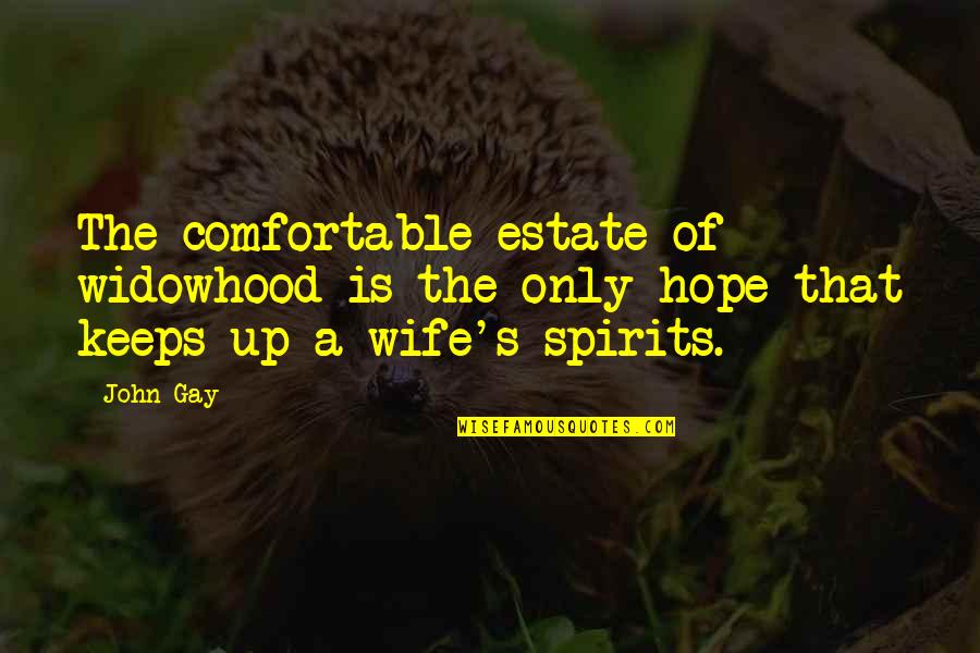 Widowhood Quotes By John Gay: The comfortable estate of widowhood is the only