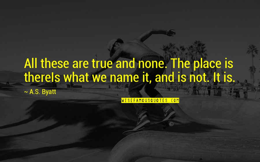 Widsom Teeth Quotes By A.S. Byatt: All these are true and none. The place