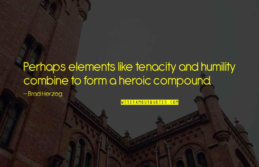 Wieberg Redi Mix Quotes By Brad Herzog: Perhaps elements like tenacity and humility combine to