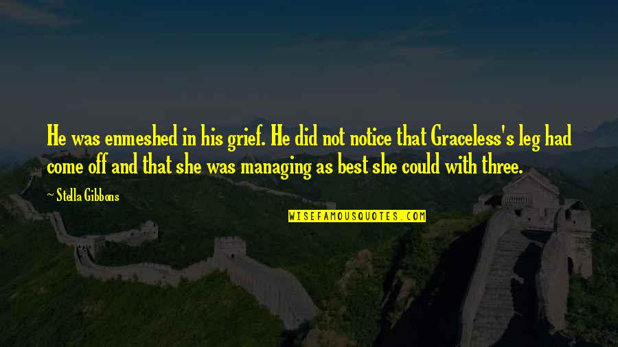 Wieczna Hanba Quotes By Stella Gibbons: He was enmeshed in his grief. He did Wieczna Hanba Quotes By Stella Gibbons: He was enmeshed in his grief. He did